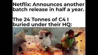 About the new Stone Ocean episodes....