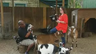 Farm animal celebration at Old McMicky's