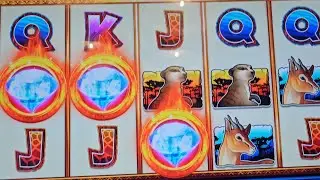 Sunset Tusk bonus with great session in mixed play on the new machines.