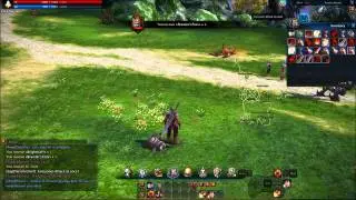 Tera // Closed Beta- Slayer 1