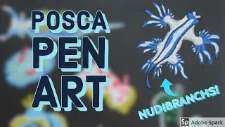 Posca Pen | Painting Tropical Sea Slugs (NUDIBRANCHS)
