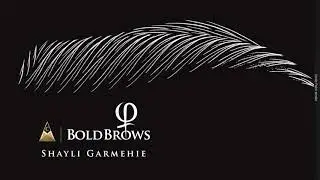 Bold Brows Patterns by Master Shayli