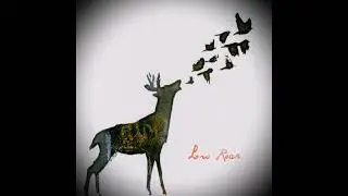 Low Roar - Patience