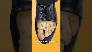 &iquest;Por qu&eacute; los pies huelen a 🧀?