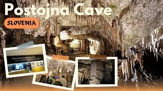 Slovenia&rsquo;s Hidden Wonder : Postojna Cave