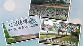 MANGROVE AND LUTOS ROOT PLANT‼️WETLAND PARK HONGKONG