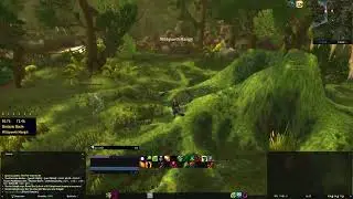 The Part-time Hunter WoW Quest
