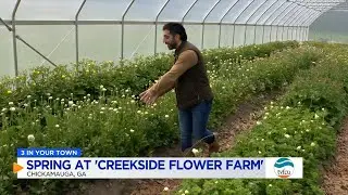 3 IN YOUR TOWN: Spring at Creekside Flower Farm