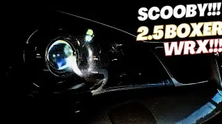 Hawk Eye Subaru Impreza WRX 💯💫