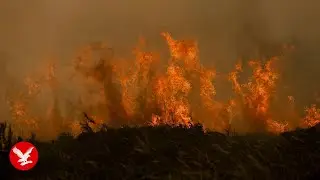 Live: Raging Spanish wildfires close part of world-famous Camino de Santiago walking route
