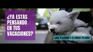 Viajar sin estr&eacute;s