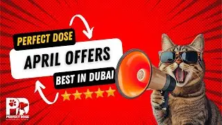 Perfect Dose Vet - AMAZING APRIL OFFERS - BEST CLINIC IN DUBAI - AFFORDABLE - PETS