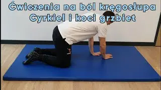 Ćwiczenia na b&oacute;l kręgosłupa 3 Cyrkiel i koci grzbiet