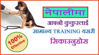 Puppy training in Nepali || यसरी दिनुहोस आफ्नो सानो पप्पीलाई घरमै training || How to train puppy? ||