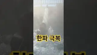 한파 극복 💦  물 마사지!!!