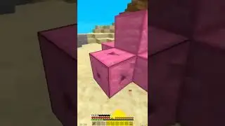 The stupidest player #minecraft #shorts