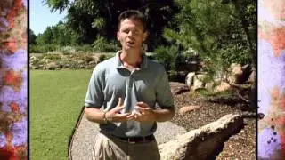 The History of Rock Gardening