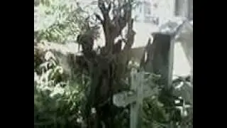 Ghost Captured in tablon
