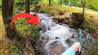 В ЭТОМ ГОРОДСКОМ РЕЧИ ВОДИТСЯ РЕДКИЙ ВИД РЫБЫ!!! | Cahaba Bass