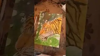 tiger drawing #art #shorts save tigers