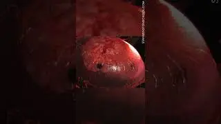 Testing pods containing growing&nbsp;alien embryos for War of the Worlds