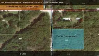 Poplar Avenue, Grant, MI Presented by Kelly Pangburn.