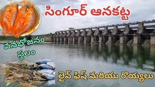 Singur Dam || Hyderabad Weekend Getaway || Live Fish and Prawns 