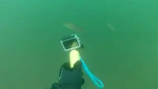 Ever wonder why your anchor gets stuck in Raystown Lake?