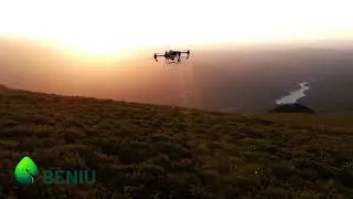 Control de Lymantria dispar con drones | Tratamientos forestales de precisi&oacute;n