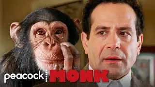 Monk Meets the Killer Chimp | Monk