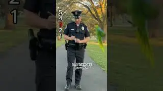 Ranking the Funniest Parrot vs Police Moments Ever! 🦜😂🚔