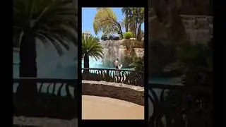 #casino #slotmachine #lasvegas MJDixon Slots ep.68
