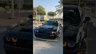 Dodge challenger 2024 - Amazing Looking 👀 🤩 #dodge #shorts #youtubeshorts #trendingshorts