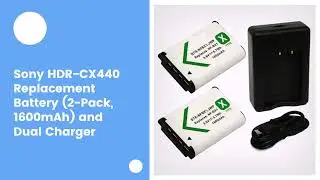 Sony HDR-CX440 Replacement Battery (2-Pack, 1600mAh) and Dual Charger