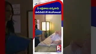 ఏ లక్షణాలు ఉన్నవారు పాలియేటివ్ కేర్&zwnj; తీసుకోవాలంటే | Dr. P. S. Vijayender Goud About Palliative Care