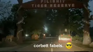 how does chuka look like during rainy season #chuka #philibhit #tiger #jungle #jimcorbt #viralshort