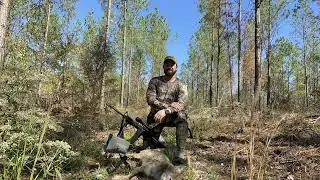 Midday October Coyote kill, Coyote Hunting