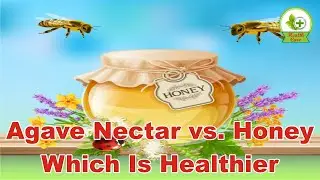 Agave Nectar vs  Honey Which Is Healthier