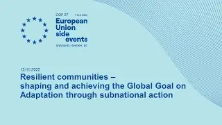 Resilient communities &ndash; shaping and achieving the Global Goal on Adaptation through subnational a...