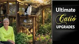 DIY CATIO Makeover: 4 Easy Improvements 🔨