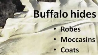 Buffalo Leather and Hides