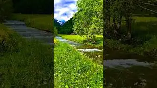 Green Swiss Nature in Summer😍🇨🇭