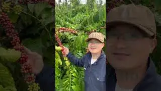 From One Question to a Sustainable Vision | The WINVN Story