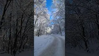 Прекрасна снежна Витоша #amazing #snow #winter #mountain #vitosha #very #beautiful #nature #perfect