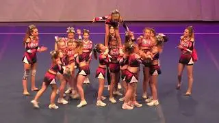BSH Unicorns Peewee L3 MEDIAN on CZCN 2017