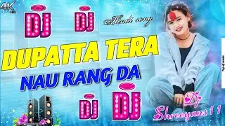 DUPATTA TERA NAU RANG DA | HINDI EDM DJ SONG | HARD DJ MIX | DJ SHAREEYANS 11