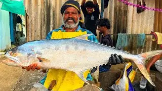 #KASIMEDU DURAI THELAL PARAI FISH CUTTING #KASIMEDU #KASIMEDU MEENGAL