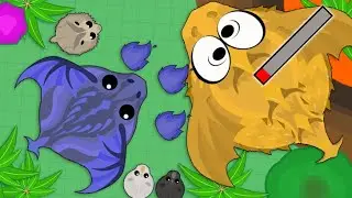 MOPE.IO // Azure_Bringer  KILLED Golden_King_Dragon /RARE RHINOS AND RARE BIGGOATS TROLLING  IN MOPE