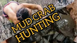 Mud Crab & Mud Creepers Hunting | Seashells | Sea Adventure | Fishing Adventure