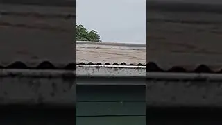 how to repair a metal roof in Auckland